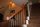 Photo 13 of 32 : 10626 Sterling Manor Dr, Spring, TX 77379 (MLS # 92165024)
